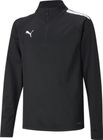 Teamliga 1/4 Zip Top Jr