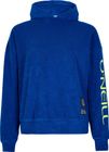 Brights Terry Hoodie