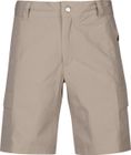 Reissu Women's Stretch Shorts