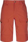 Hiker M Lite Shorts