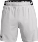 Vanish Woven 6in Shorts