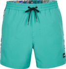 Coast Ocean 15'' Swim Shorts