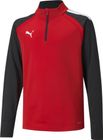 Teamliga 1/4 Zip Top Jr