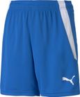 Teamliga Shorts Jr