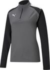 Teamliga 1/4 Zip Top W