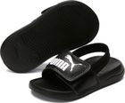 Popcat 20 Backstrap AC Inf