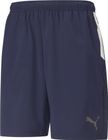 Teamliga Sideline Shorts