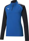 Teamliga 1/4 Zip Top W