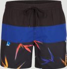 Frame Block Swim Shorts