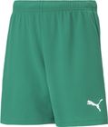 Teamrise Short Jr