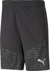Teamcup Training Shorts