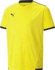 Teamliga Jersey Jr