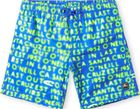Cali Gradient 14'' Swim Shorts