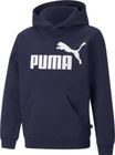 Essentials Big Logo Hoodie FL B