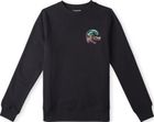 Circle Surfer Crew