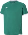 Teamliga Jersey Jr