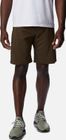 Silver Ridge Utility Short