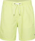 Vert 16'' Swim Shorts