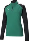 Teamliga 1/4 Zip Top W