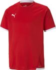 Teamliga Jersey Jr