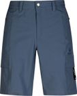 Reissu Men's Stretch Shorts