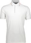 MAN Polo