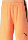 Teamliga Shorts
