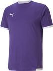 Teamliga Jersey