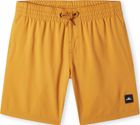 Future Surf Society 14'' Swim Shorts