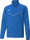 Teamrise 1/4 Zip Top Jr