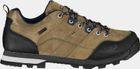 Alcor Low Trekking Shoe WP