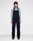 Crusader Gore-tex Pro Pants W
