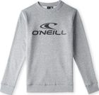 Logo Crew Sweatshirt