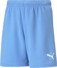 Teamrise Short Jr