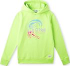 Circle Surfer Hoodie