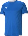 Teamliga Jersey