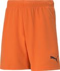 Teamrise Short Jr