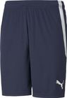 Teamliga Shorts