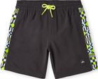 Cali Panel 14'' Swim Shorts