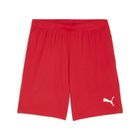 Teamgoal Shorts