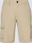 B1B Cargo Hybrid Short 21''