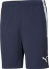 Teamliga Training Shorts