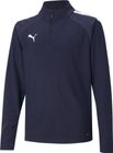 Teamliga 1/4 Zip Top Jr