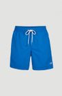 Vert 16'' Swim Shorts