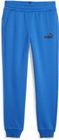 Essentials Logo Pants FL cl B