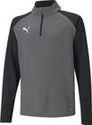 Teamliga 1/4 Zip Top Jr