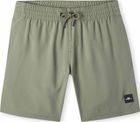 Future Surf Society 14'' Swim Shorts