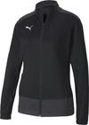 Teamgoal 23 Training Jacket W