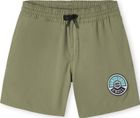 Cali State 14'' Swim Shorts