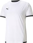 Teamliga Jersey
